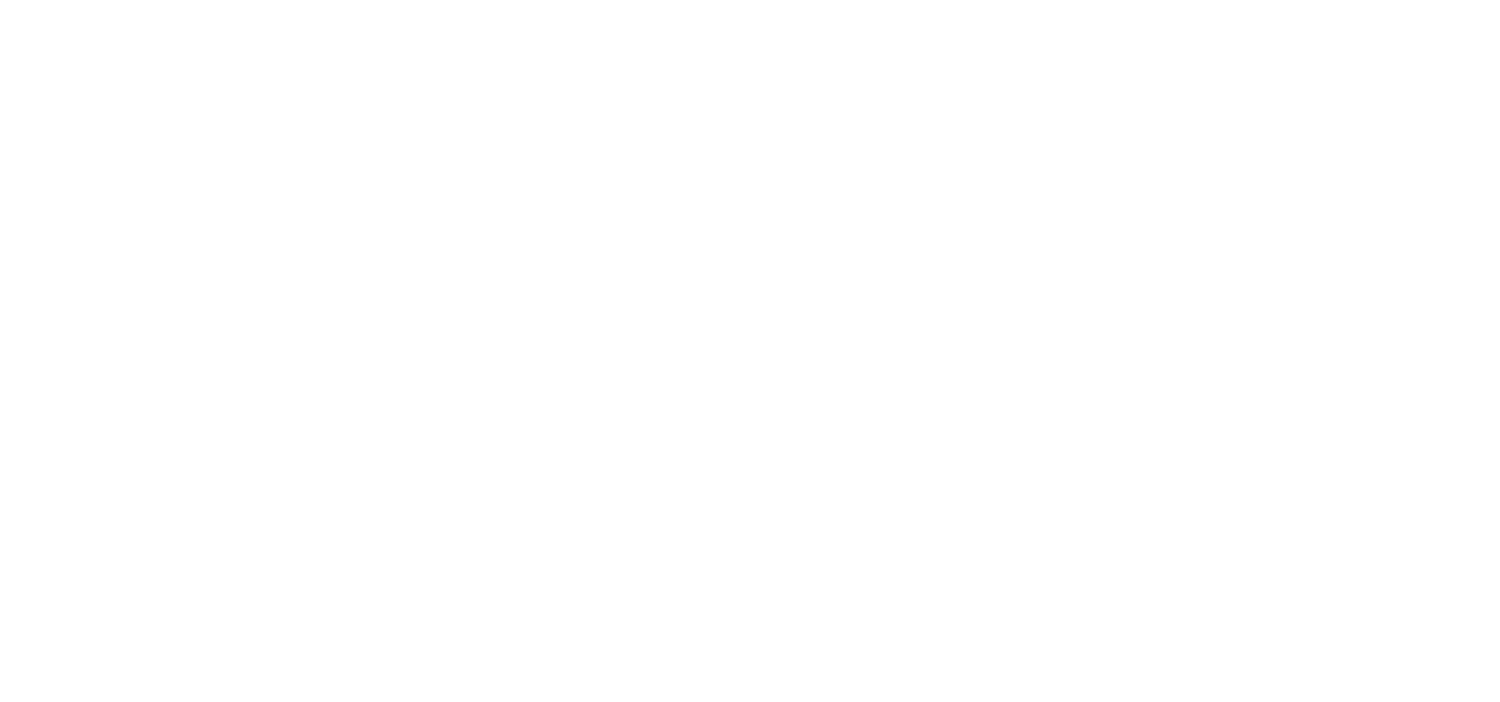 Map monde - World Tour 2019